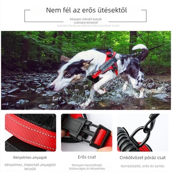 K9 mellkasos hám és póráz – fejlett Modell kényelmes sétákhoz
