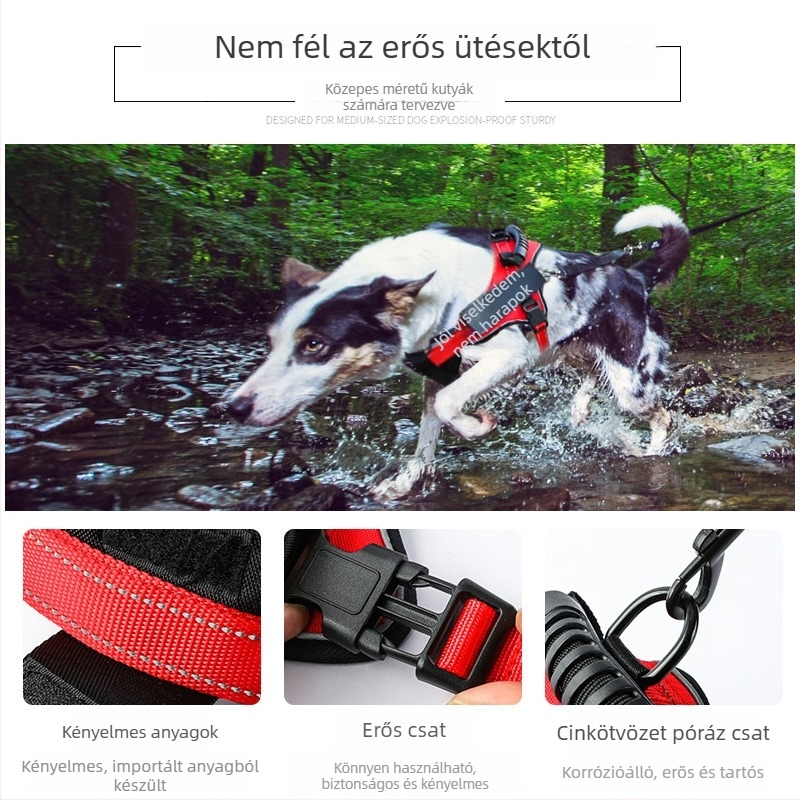 K9 mellkasos hám és póráz – fejlett Modell kényelmes sétákhoz