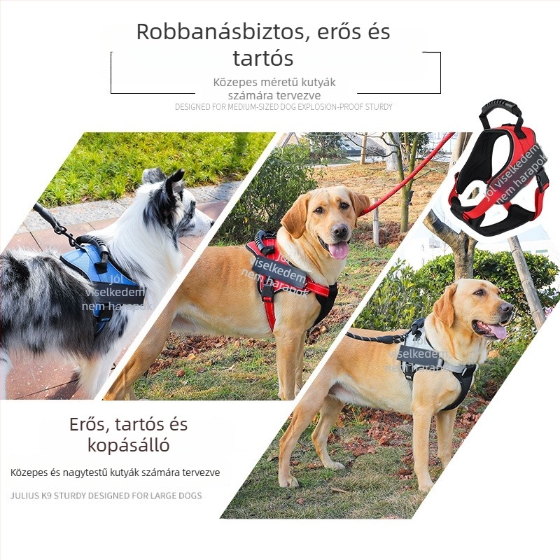 K9 mellkasos hám és póráz – fejlett Modell kényelmes sétákhoz