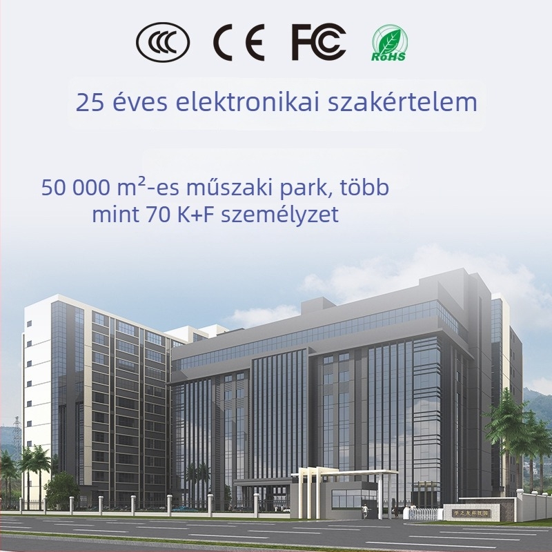 Többnyelvű olvasó- és fordító toll szótárral, OEM testreszabási lehetőség és szkennelő funkció