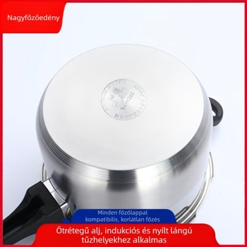 Delos 22 cm-es nyomásos edény 304 rozsdamentes acélból, otthoni használatra, vastagabb test, robosztus, robbanásbiztos, biztonságos és egészséges, kültéri használatra alkalmas