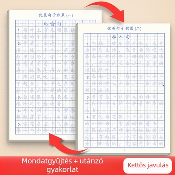 Right World Kaligráfia gyakorlókészlet: mindennapi szép mondatok és szógyűjtemények 3–6. osztály számára