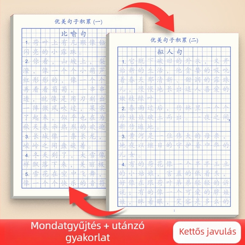 Right World Kaligráfia gyakorlókészlet: mindennapi szép mondatok és szógyűjtemények 3–6. osztály számára