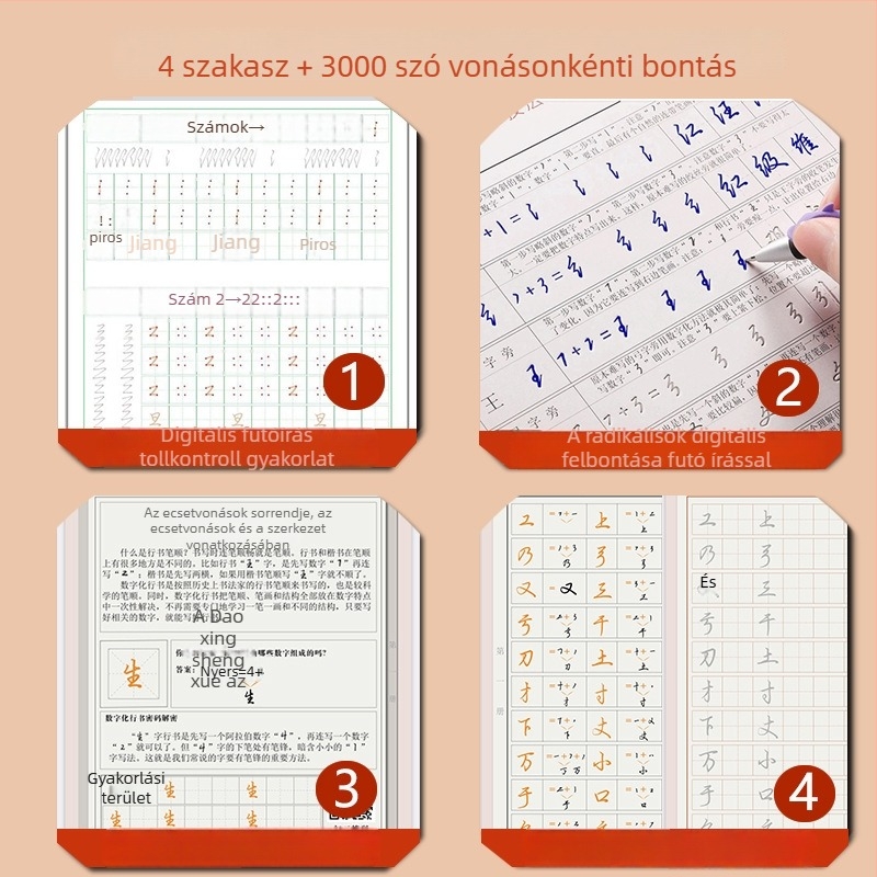 Digitális Szimbólum Módszer: Zhang Shennong félkörírásos gyakorlókönyve 3000 gyakori karakterrel és minden karakter összetevőinek bontásával