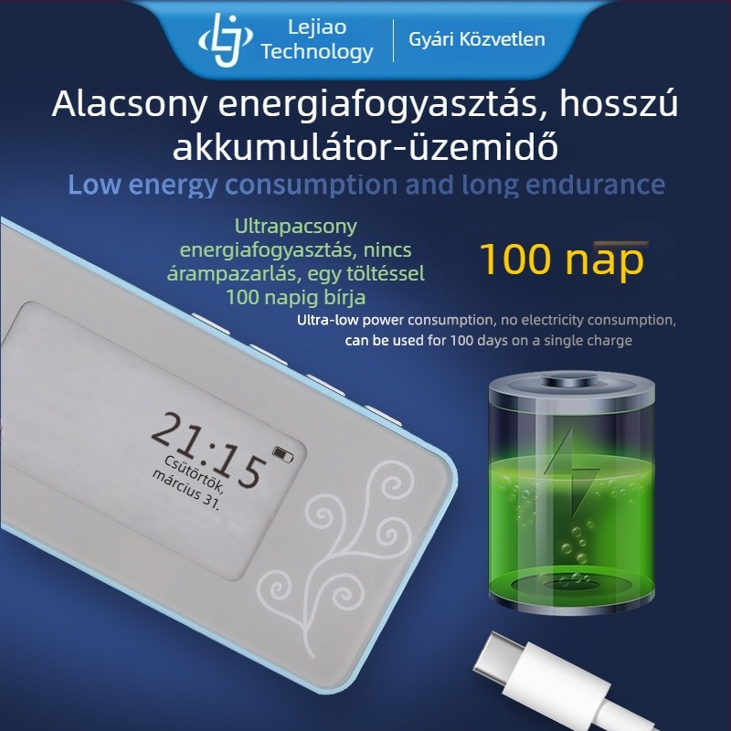 P501 zsebméretű tanulóeszköz e-ink kijelzővel, hallgatási és memorizálási ismétlő funkcióval, elektronikus szótár, hordozható Bluetooth, szemvédelem