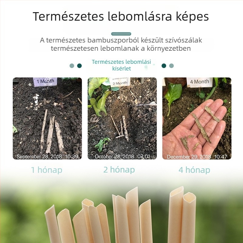 PLA szívószálak, egyszer használatosak, egyenként csomagoltak, biológiailag lebomlóak, italokhoz, gyümölcslevekhez és tejteához.
