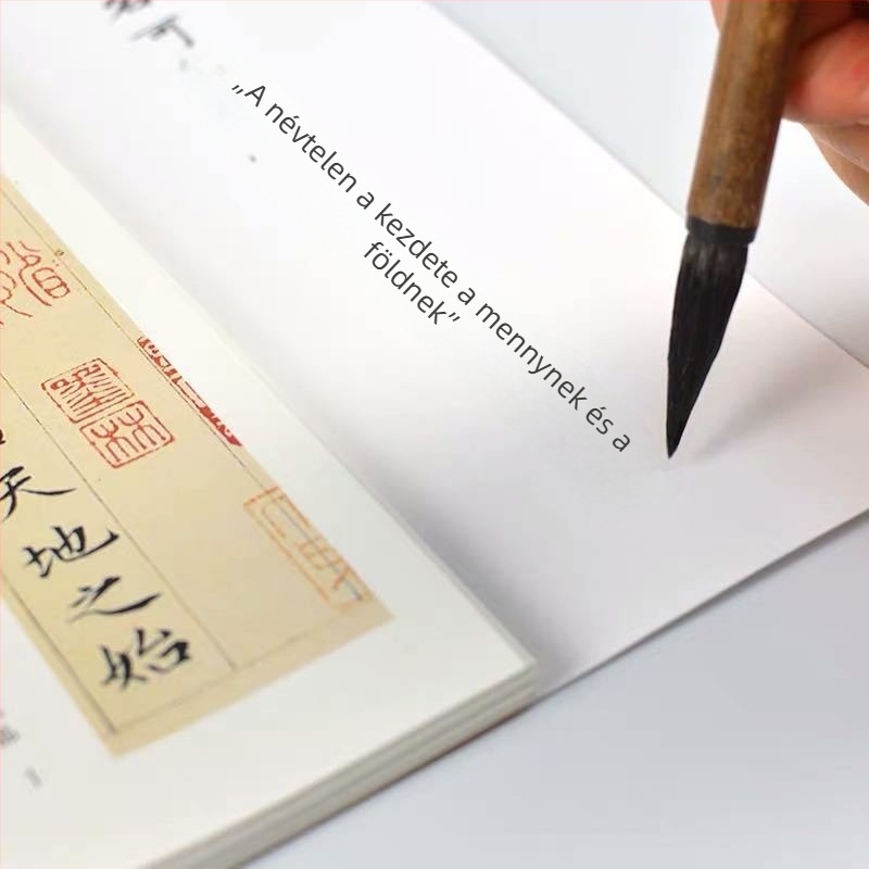 Zhao Mengfu Xiao Kai Daojing Kaishu ecsetkaligrafia: Eredeti feliratok teljes gyűjteménye, Közeli felvételű másoló kártyák