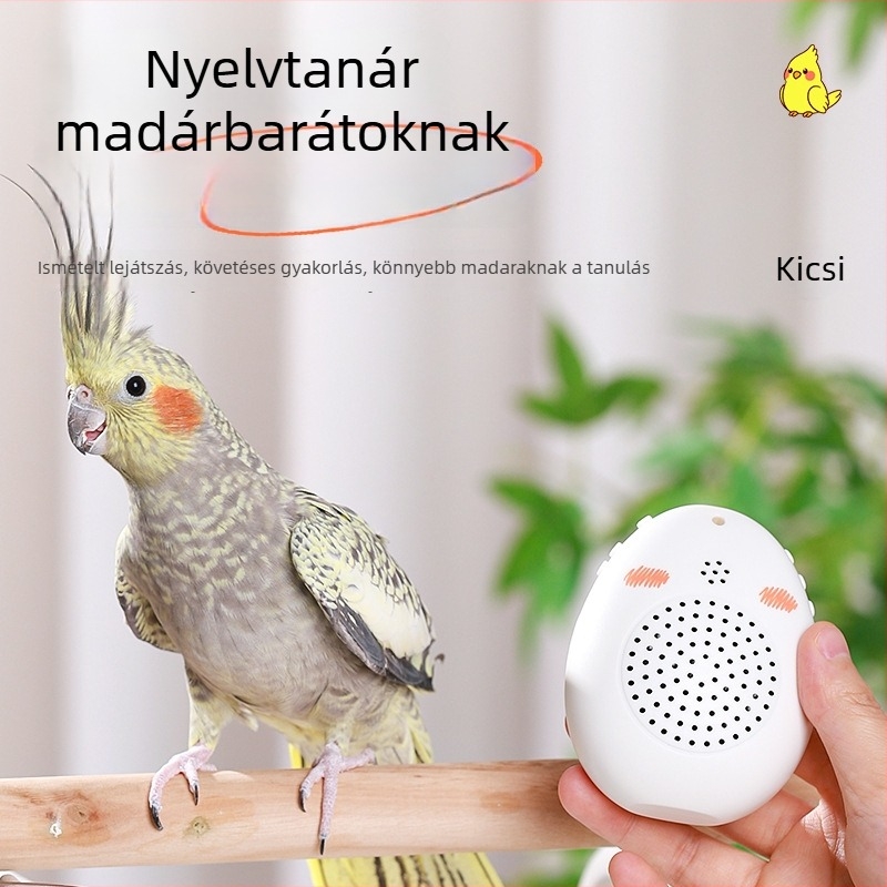 Papagáj beszédkészség-fejlesztő eszköz és madártanuló gép, hangfelvétel és oktatás