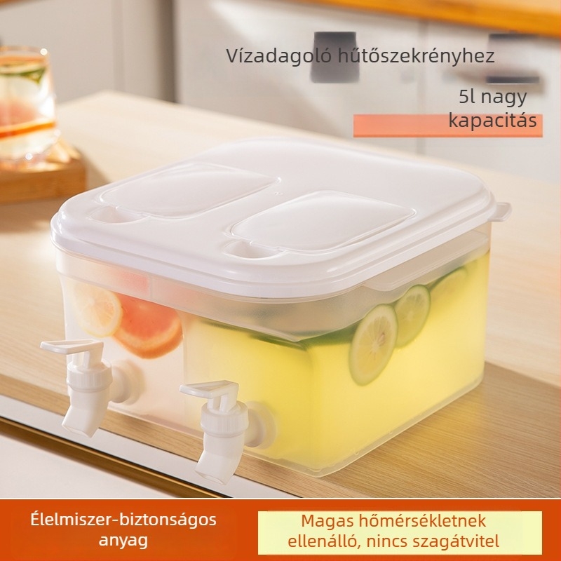 5 literes kétkamrás hidegvíz kancsó szűrővel és csappal, otthoni használatra, nagy kapacitás gyümölcstea és italok számára