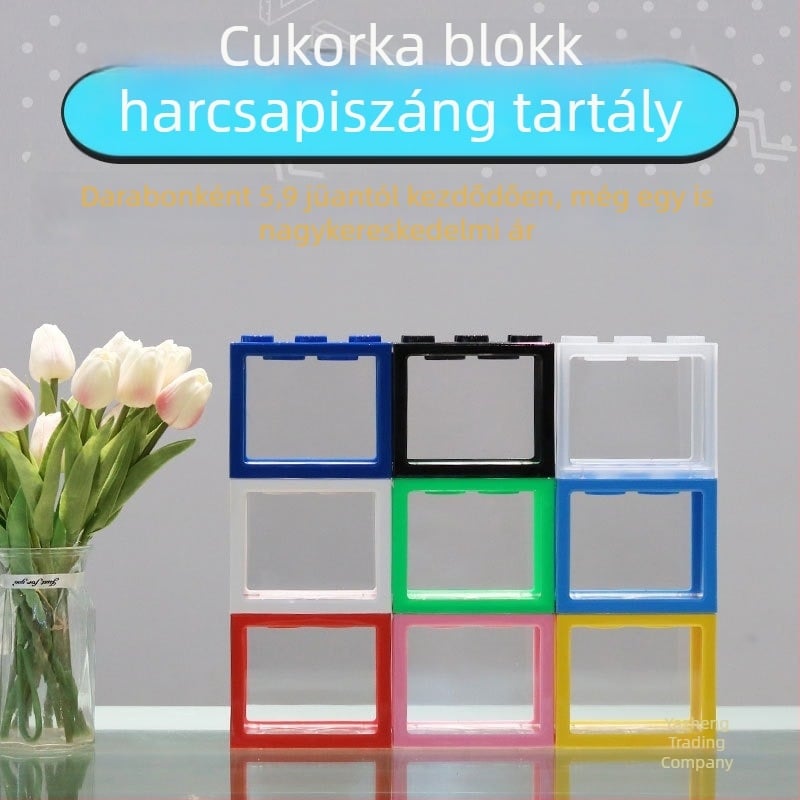 Akril Betta halak számára, mini táj egy üvegben