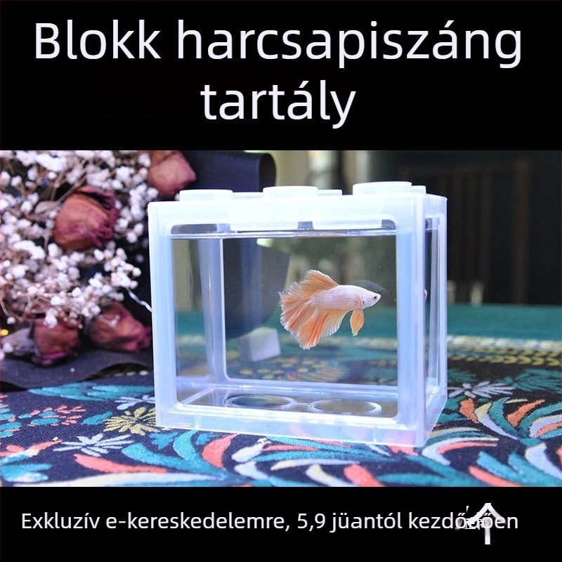 Akril Betta halak számára, mini táj egy üvegben