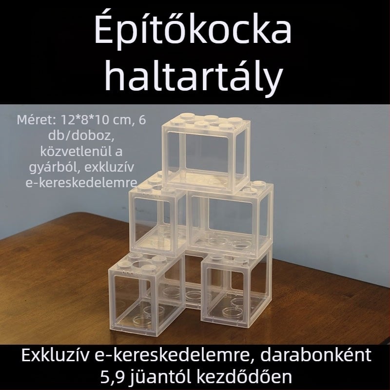 Akril Betta halak számára, mini táj egy üvegben