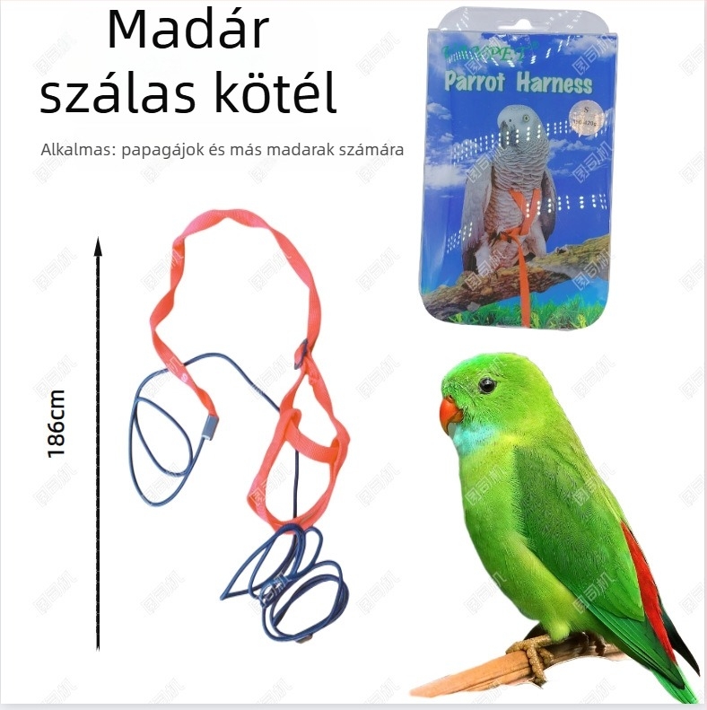 Hörcsög és papagáj játékok: rágó játékok, kisállat-fészek és loofah-alapú játékok