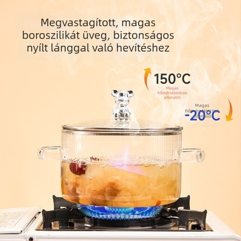 Medve alakú boroszilikát üveg tejfazék, két oldalsó fogantyúval, hőálló nyílt lánghoz; ideális levesekhez, zabkásához és raguhoz gáztűzhelyen.