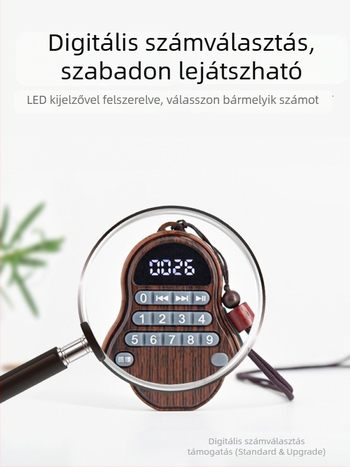 Kompakt, kisméretű, újratölthető hordozható zenei lejátszó otthoni használatra