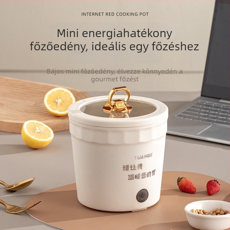 Kompakt, többfunkciós elektromos főzőedény tészta, zabkása, leves és pörkölt készítéséhez — hordozható kollégiumi eszköz.