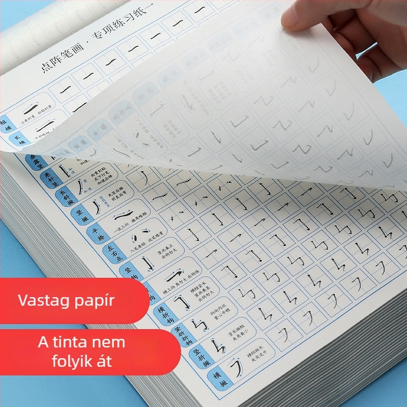 Pontmátrixos tollirányítás gyakorlófüzet gyerekeknek és általános iskolásoknak — írásgyakorlatok vonások és gyökök írására szabályos kaligráfiához