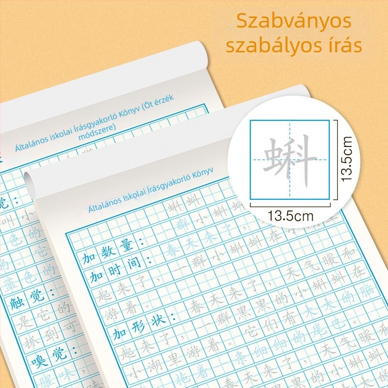 Általános iskolások írásgyakorlatai: mondatbővítés, retorikai technikák, szó hozzáadás, az öt érzékelés módszere és írásanyagok gyűjteménye