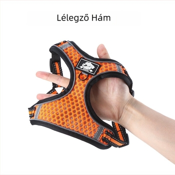 Szellőző mellényhám kis testű kutyáknak, pórázzal, ideális bichon frisé és kölyökkutyáknak
