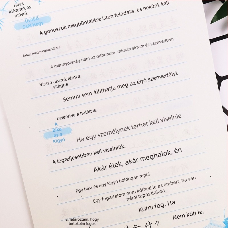 Ink Dot kaligráfia gyakorlófüzet, reguláris írásmód, Xingkai stílus, Tang és Song költészet, híres idézetek és klasszikus irodalom, közép- és felsőfokú iskolák számára