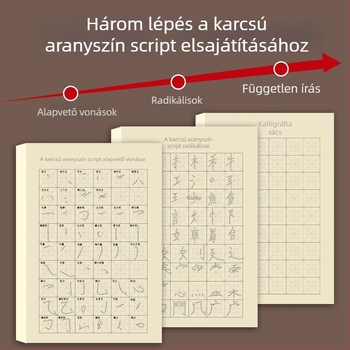 Kezdőknek szóló ecsetkaligráfia gyakorlófüzet Slim Gold Script stílusban: vonások, radikális részek és ecsetvonások kontrollja