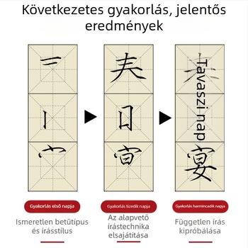 Kezdőknek szóló ecsetkaligráfia gyakorlófüzet Slim Gold Script stílusban: vonások, radikális részek és ecsetvonások kontrollja
