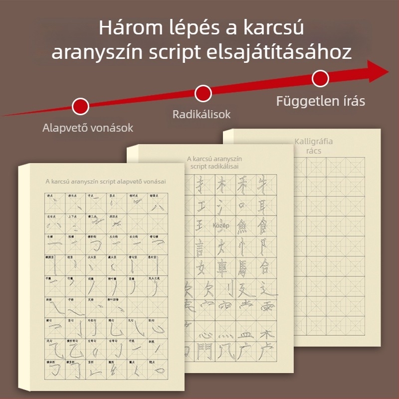 Kezdőknek szóló ecsetkaligráfia gyakorlófüzet Slim Gold Script stílusban: vonások, radikális részek és ecsetvonások kontrollja