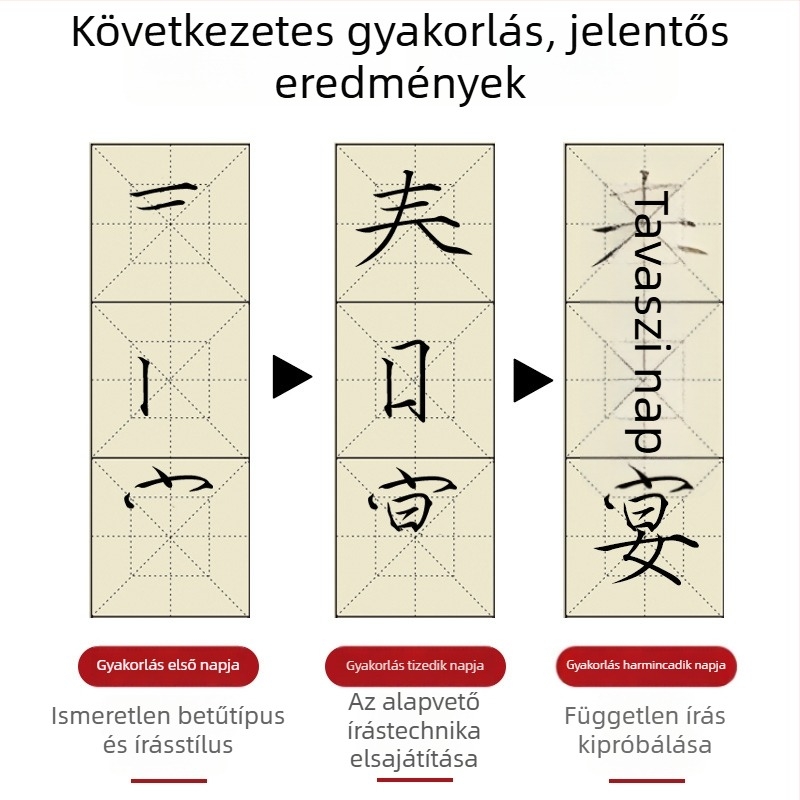 Kezdőknek szóló ecsetkaligráfia gyakorlófüzet Slim Gold Script stílusban: vonások, radikális részek és ecsetvonások kontrollja