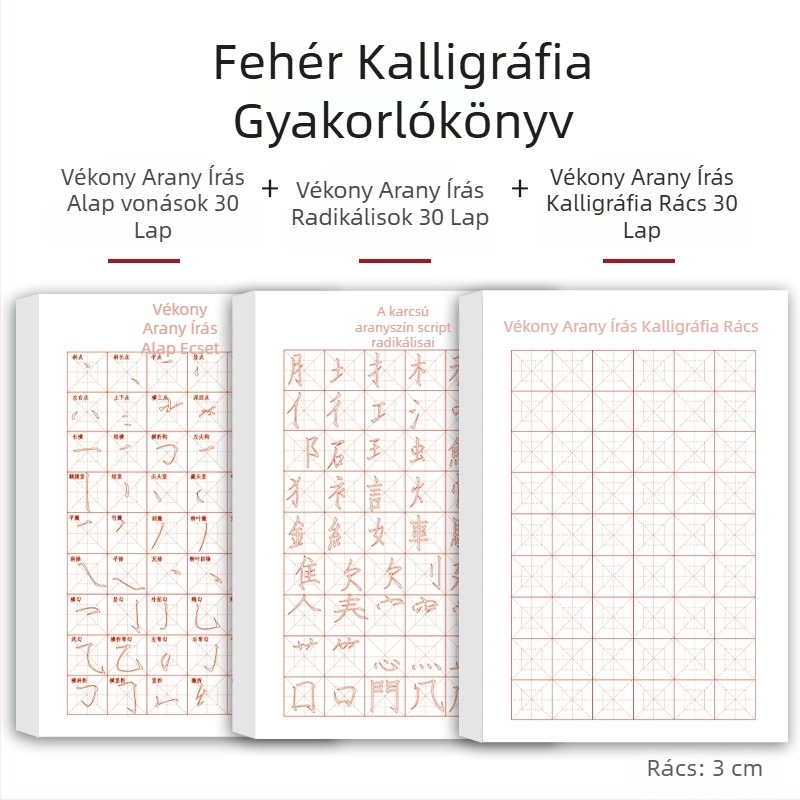 Kezdőknek szóló ecsetkaligráfia gyakorlófüzet Slim Gold Script stílusban: vonások, radikális részek és ecsetvonások kontrollja