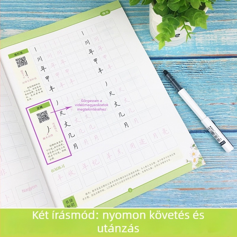 Ink Dot Kaligráfia: Rangvizsga útmutató és gyakorlókönyv — a szabályos írásról a félírásos és klérikus írásig