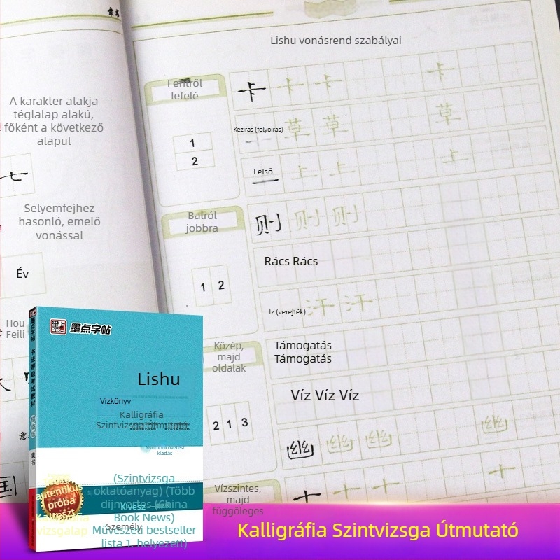 Ink Dot Kaligráfia: Rangvizsga útmutató és gyakorlókönyv — a szabályos írásról a félírásos és klérikus írásig
