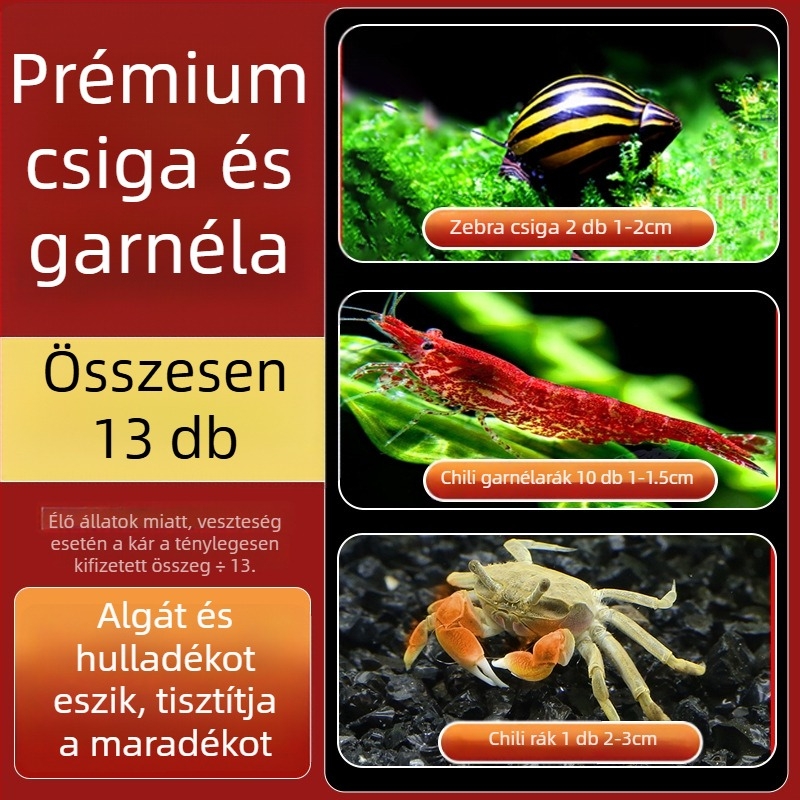Édesvízi alma csiga akváriumhoz — algamentesítő eszköz és akvárium-tisztítás (kicsi és nagy példányok)