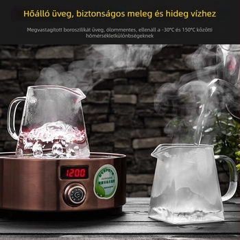 Vastagított hőálló üvegből készült teáskanna beépített szűrővel és kis zöld mandarin szeparátorral a Gongfu tea elkészítéséhez