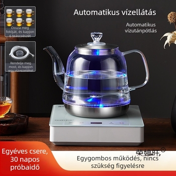 Minden‑egyben elektromos teafőző hőmérséklet-szabályozóval, 1 L üvegtartállyal