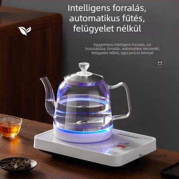 Minden‑egyben elektromos teafőző hőmérséklet-szabályozóval, 1 L üvegtartállyal