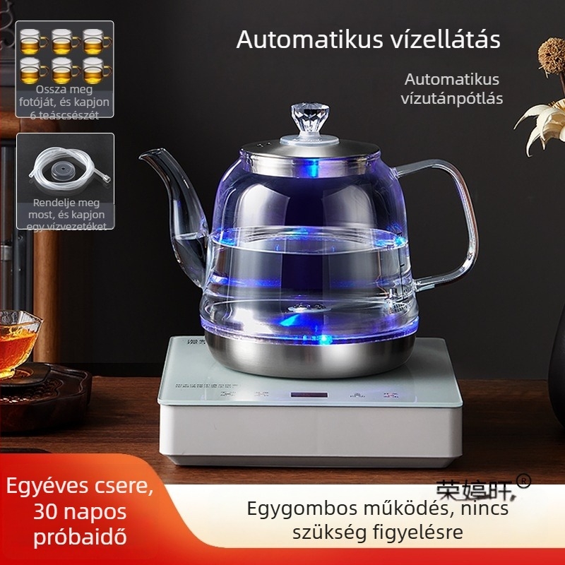 Minden‑egyben elektromos teafőző hőmérséklet-szabályozóval, 1 L üvegtartállyal