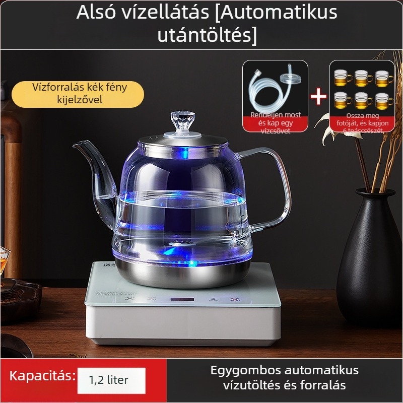 Minden‑egyben elektromos teafőző hőmérséklet-szabályozóval, 1 L üvegtartállyal