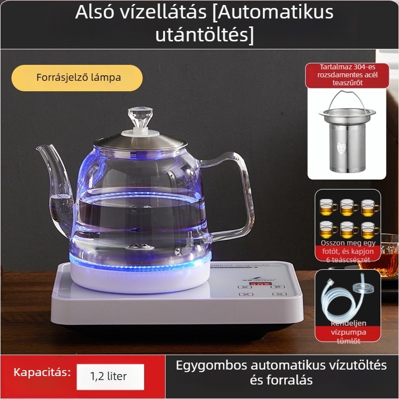 Minden‑egyben elektromos teafőző hőmérséklet-szabályozóval, 1 L üvegtartállyal
