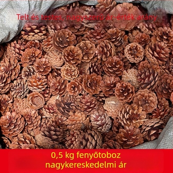 Fenyőtobozok karácsonyi dekorációhoz és fotórekvizítumokként óvodások számára