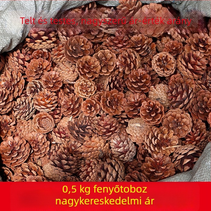 Fenyőtobozok karácsonyi dekorációhoz és fotórekvizítumokként óvodások számára