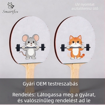 Fox UV-nyomtatott asztaliteniszütő, professzionális penge, vízszintes fogás, DIY késztermék diákoknak