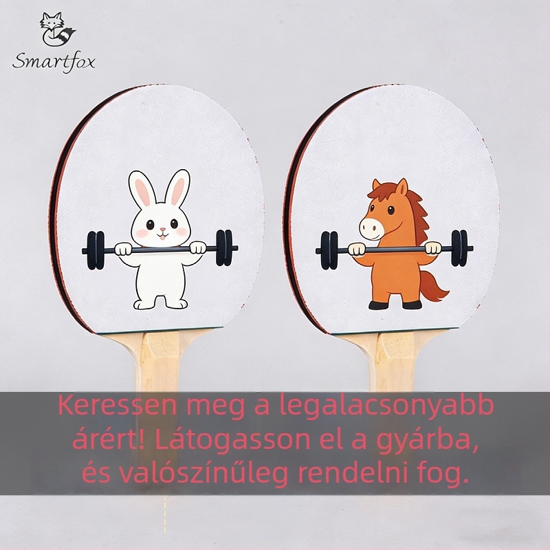 UV-nyomtatott asztalitenisz ütő edzésre, Shakehand fogás, hosszú nyél, ragasztásgátló gumi