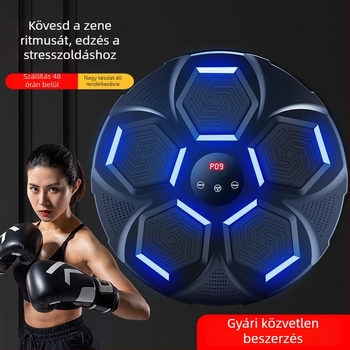 QJ-02 PU függő box cél zenével edzéshez