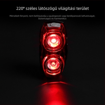 Raypal 2230 Hátsó kerékpárfény kettős LED modulokkal, figyelmeztető fény, kerékpáros felszerelés