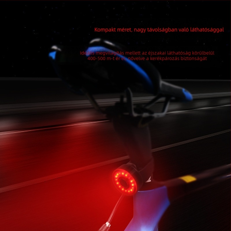 LED hátsó fény kerékpárhoz – biztonsági figyelmeztető, erős villanó fény, vízálló és újratölthető; pántos rögzítés; micro-USB töltés; MTB és városi kerékpárokhoz.