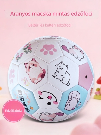 5-ös méretű futball edzésre középiskolásoknak, gravírozott, születésnapi ajándék fiataloknak