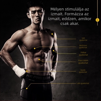 Haskerék otthoni használatra – fitness eszköz férfiaknak és nőknek, hasizom-edző roller