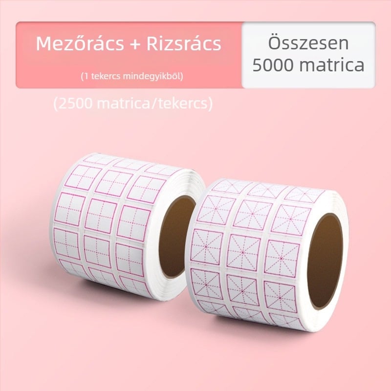 Általános iskolás diákok számára kijavító matricák, nyom nélküli korrekció, többfunkciós a kínai karakterrácsokhoz, pinyin és angol