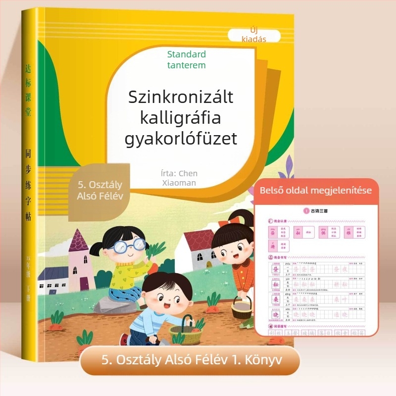 1–6. osztály: szinkronizált írásgyakorló füzet, betűk írása