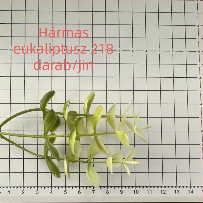 Mesterséges gypsophila virágvessző eukaliptusszal és vízi fűvel – műanyag dísz
